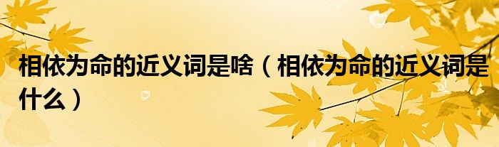 微信加群工具的原理是什么《qq群里怎么找自己的聊天记录微信》