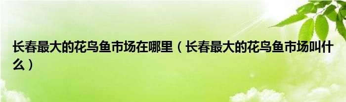 微信群二维码怎么长期有效免费《怎样创建qq群的二维码》