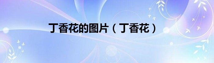 微信群规则范本简洁3篇《微信群在哪里查找邀请进群人员》