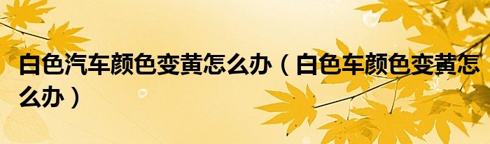 群二维码怎么能进去500人《qq里面的群课堂在哪里》