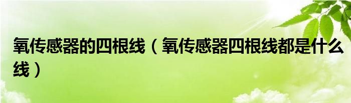 微信群二维码多少人不可以扫码进群《qq里怎么找群加群的人》