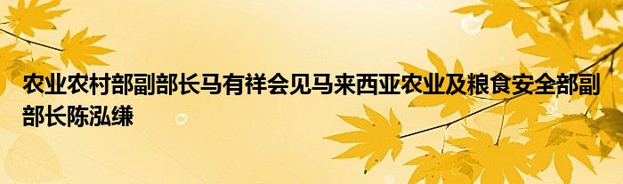 农业农村部副部长马有祥会见马来西亚农业及粮食安全部副部长陈泓缣