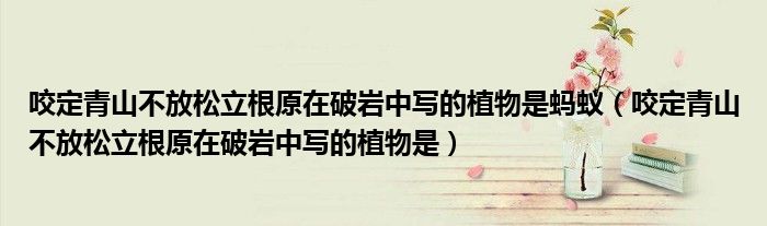 微信加群操作太频繁会封号吗《微信群从哪里找出来》