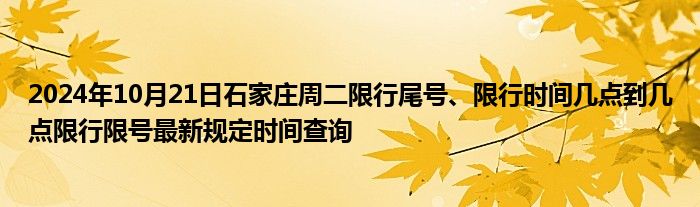 免费二维码进群大全《qq群待办在哪里查看内容》